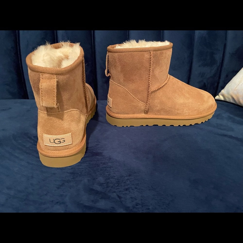 Brand NEW, NEVER WORN UGG boots.